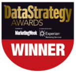 Data Strategy Logo